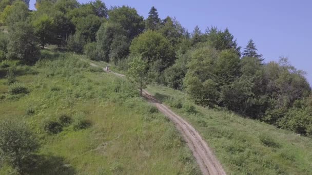 Sommerlicher Wolkenloser Tag Feldweg Wald Motorradrennen Luftbild — Stockvideo