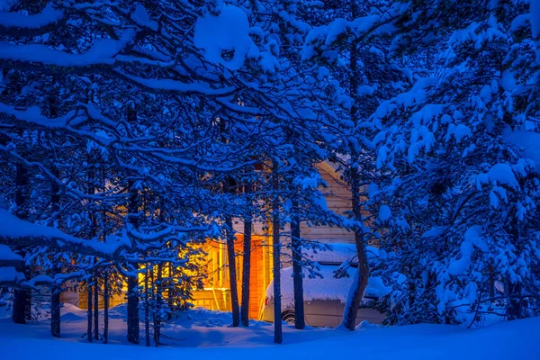 Floresta Inverno Densa Boa Noite Entre Ramos Cobertos Neve Pode — Fotografia de Stock