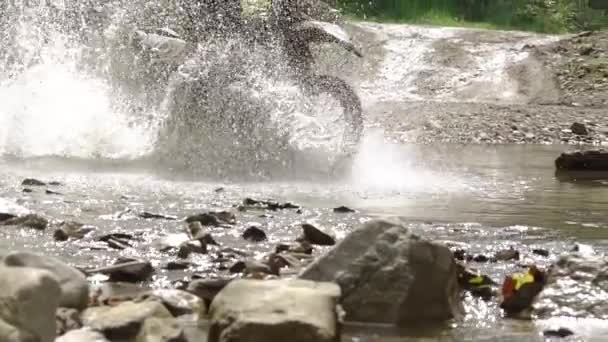 Día Soleado Verano Motorista Está Forzando Pequeño Río Mucha Agua — Vídeo de stock