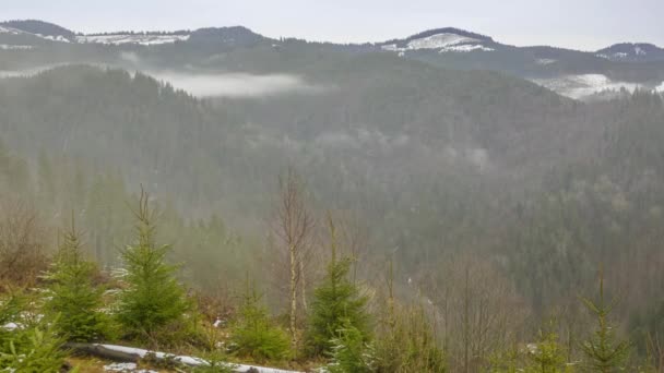 Στην Αρχή Του Χειμώνα Στα Δασώδη Βουνά Πλήρης Νεφοκάλυψη Ομίχλη — Αρχείο Βίντεο