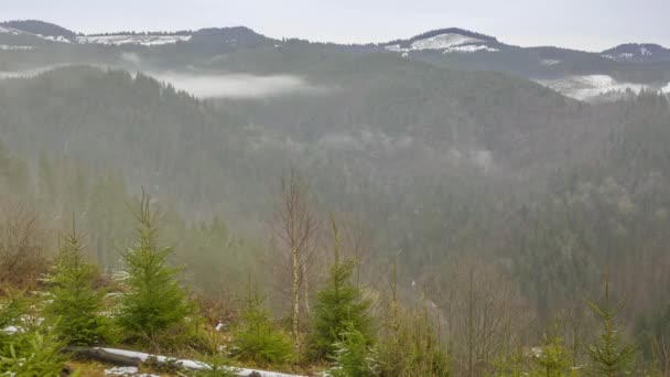 Inizio Dell Inverno Nelle Montagne Boscose Nuvoloso Nebbia Serale Scadenza — Video Stock