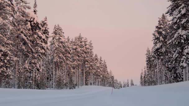 Snötäckta Skogsväg Solnedgången Ljus Och Lätt Snöfall Bilen Passerar Snabbt — Stockvideo