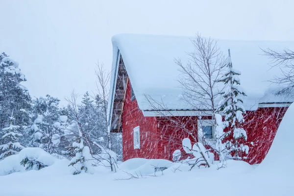 冬季芬兰 厚重的森林和大量的雪 有红色墙壁的木制房子 — 图库照片