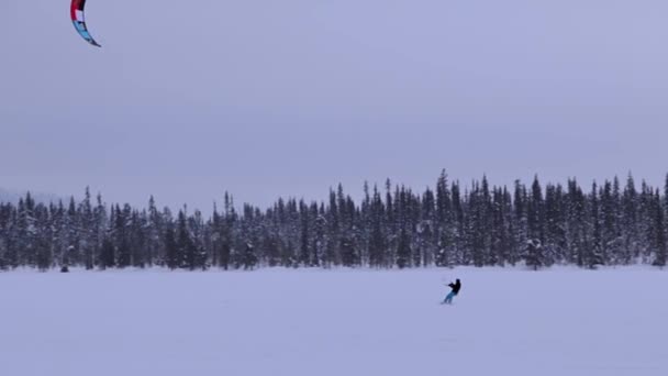 大型冷凍ラップランドの湖 Snowkiteer ハエ無限の森の背景 — ストック動画