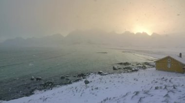 Kış Norveç. Lofoten üzerinde fiyort. Kar yağışı ve kuvvetli rüzgar. Güneş ışığı. Ağır çekim