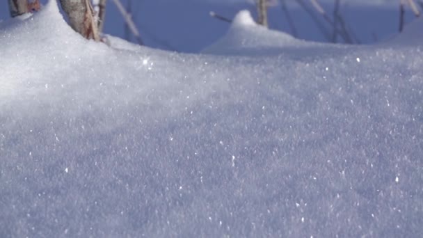 Antecedentes Nieve Fresca Brilla Los Rayos Del Sol Primer Plano — Vídeos de Stock