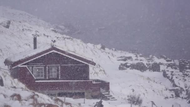 Vinter Norge Fjord Lofoten Hus Stranden Och Snöfall Slow Motion — Stockvideo