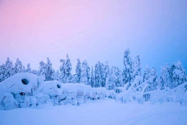 Borda Floresta Inverno Muita Neve Vários Canhões Neve Estão Uma — Fotografia de Stock