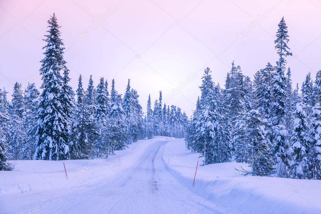 Winter road through the northern forest. Snow-covered spruces. Red landmarks marking the edges of the roadway