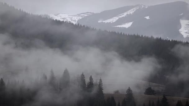 冬の初めの緑豊かな山々 雪のビット 曇りと霧 — ストック動画