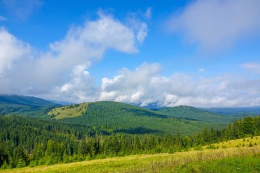 Yaz aylarında ormanlık dağlar. Mavi gökyüzünde bulutlar. Glade kalın çim ve yamaçları ile güneş aydınlatır