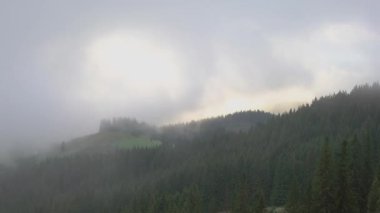 Dağlık arazi ve yoğun iğne yapraklı orman. Bulutlu hava ve kalın sis. Hızlı hareket