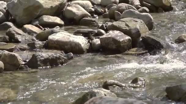 Przepływ Burzliwy Wody Pomiędzy Kamieniami Szczelnie Góry Słoneczna Pogoda Zwolnionym — Wideo stockowe