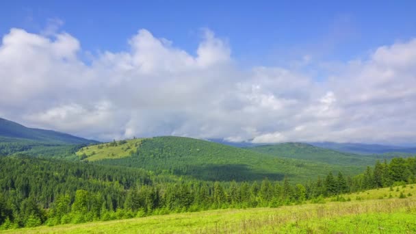 Weersveranderingen Beboste Bergen Time Lapse — Stockvideo