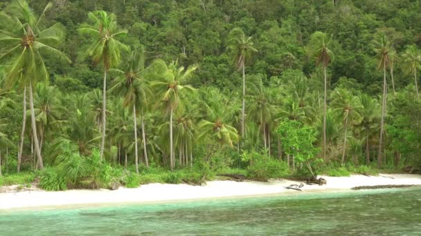 Kust Van Een Tropisch Eiland Wit Zand Licht Surfen Kokospalmen — Stockvideo