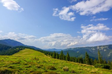 Bir dağ mera güneşli günde