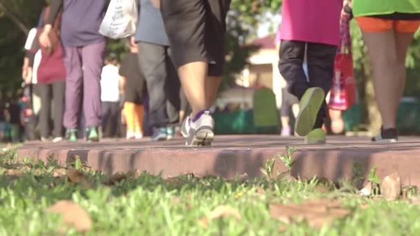 Літній Ранок Парку Сонячна Погода Пішоходи Прогулятися Вздовж Контуру Тільки — стокове відео