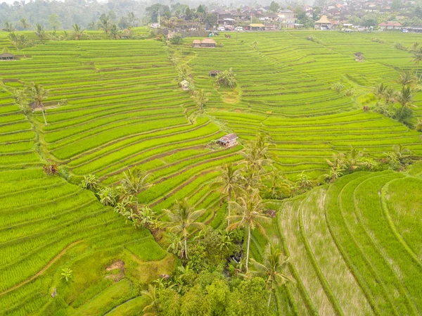 Ρύζι πεδίο βεράντες και Ινδονησιακά χωριό. Εναέρια άποψη — Φωτογραφία Αρχείου