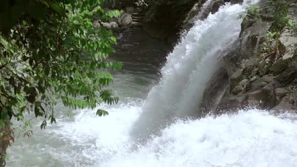 Fluss Dichten Sommerwald Spritzwasserfall Zeitlupe — Stockvideo