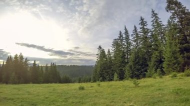 Dağlar ve orman arasında yaz çayırı. Bulutlar hızlı koşar. Döndürülebilir zaman atlamalı