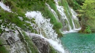 Bir yaz gününde orman nehri. Çimenli bir yamaç üzerinde birçok şelale akarsu. Yavaş çekim