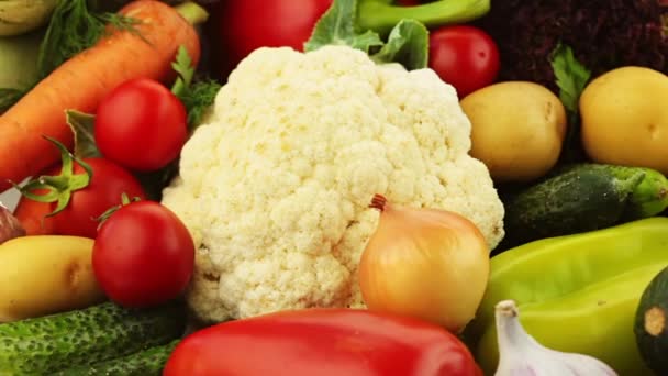 Verschiedenes Frisches Gemüse Tomaten Und Gurken Und Zucchini Und Petersilie — Stockvideo