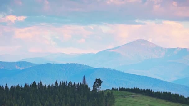 Lage Bergen Bedekt Met Naaldbos Zomer Avond Ondergaande Zon Maakt — Stockvideo