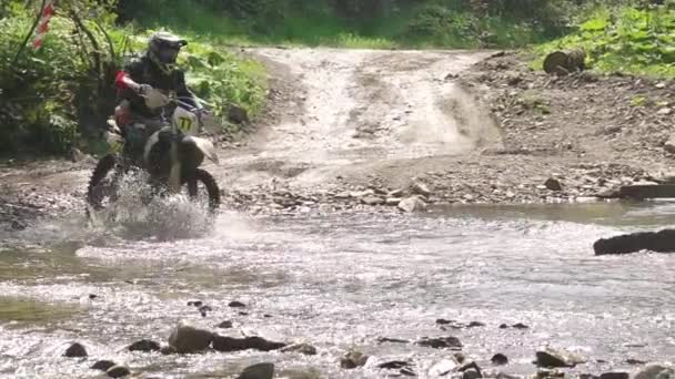 落葉樹林の晴れた夏の日 エンデューロのオートバイ運転手は 浅い川をたくさんのスプレーで横断します スローモーション — ストック動画