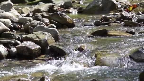 Güneşli Bir Yaz Gününde Sığ Bir Nehir Akıntısı Taşların Arasında — Stok video