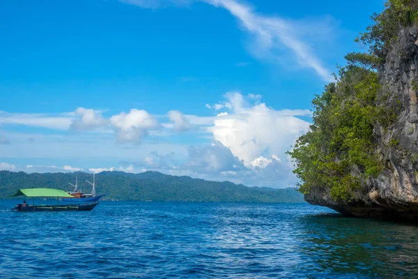 Wyspy Indonezyjskie Jestem Raja Ampat Krawędź Skalistej Wyspy Porośniętej Tropikalną — Zdjęcie stockowe