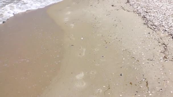 Tempo Ensolarado Uma Praia Areia Selvagem Vestígios Pés Humanos Descalços — Vídeo de Stock