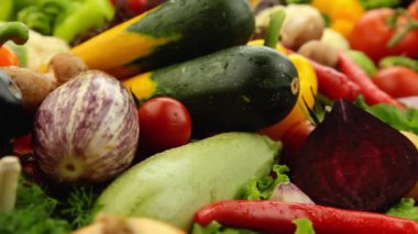 Çeşitli taze sebzeler: kabak, kabak, salatalık, domates, sarımsak, soğan, biber, patates, marul, mantar