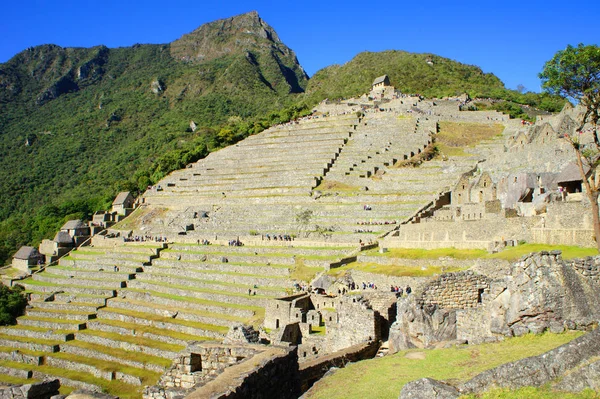 Terrazas Utilizadas Para Agricultura Por Incans Machu Picchu — Foto de Stock