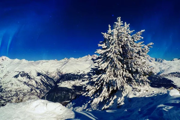 Bela Árvore Natal Coberta Neve Topo Dos Alpes Franceses Contra — Fotografia de Stock