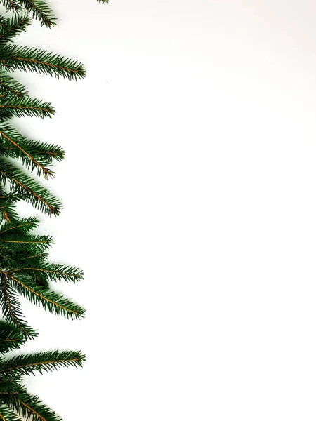 Karácsonyfa ágai szegélyét egy fehér háttér, az üres tér és a szabad hely a szöveg, beszúrása — Stock Fotó