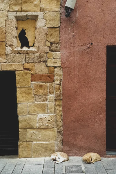 Two cats are sleeping on the ganitz of two houses of yellow brick and plastered dirty orange with a black cat painted on the wall, Tarragona, Spain