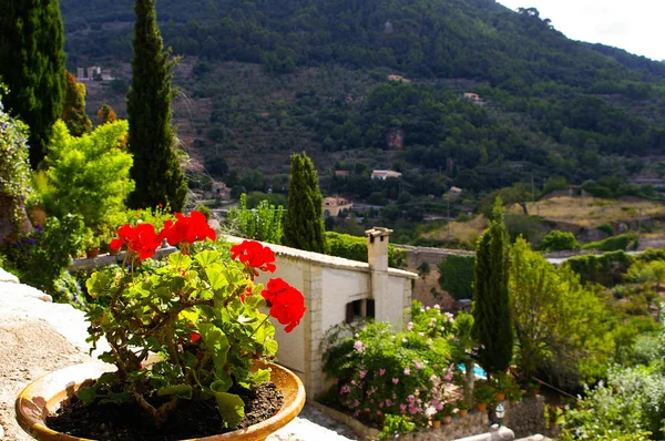 Ön planda, Mallorca, İspanya, kırmızı çiçekli Valldemossa bir pot ile yapılan gözlem güverteden görüntülemek