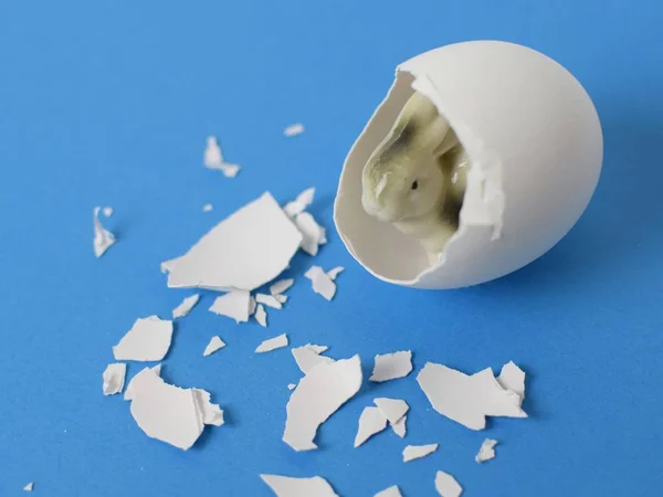 Küçük seramik tavşan beyaz bir yumurtadan ambar ağzı