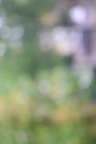 serin yeşil, sarı tonları ile defokus ışık ve gölge ile soyut bokeh arka plan