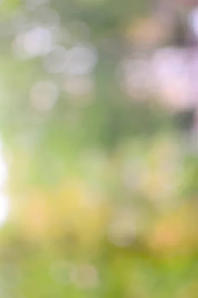 sıcak yeşil, sarı tonları ile defokus ışık ve gölge ile soyut bokeh arka plan