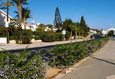 Boyunca dikilen güzel çiçekler ile küçük bir pitoresk köy yoluyla Yol