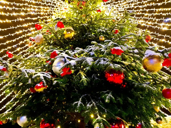 Karácsonyfa a hóban az utcán, piros és arany golyókkal díszítve, egy fényes koszorú éjszaka — Stock Fotó