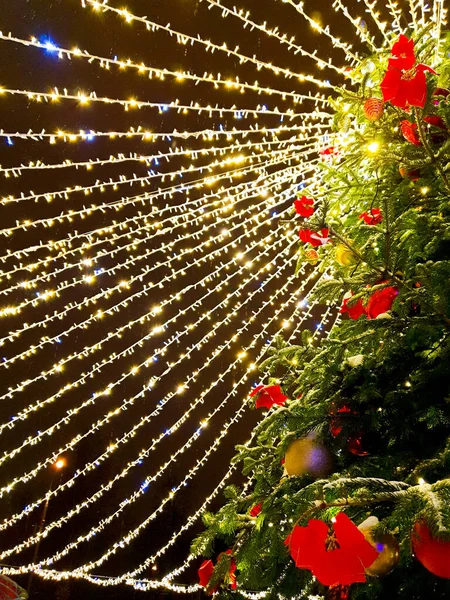 Kırmızı ve altın toplarla süslenmiş bir Noel ağacından bir ışık çelengi gökyüzünün arka planına doğru uzanır.