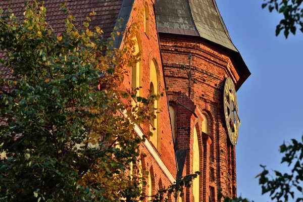 Catedral Koenigsberg Templo Gótico Del Siglo Xiv Símbolo Kaliningrado Hasta — Foto de Stock