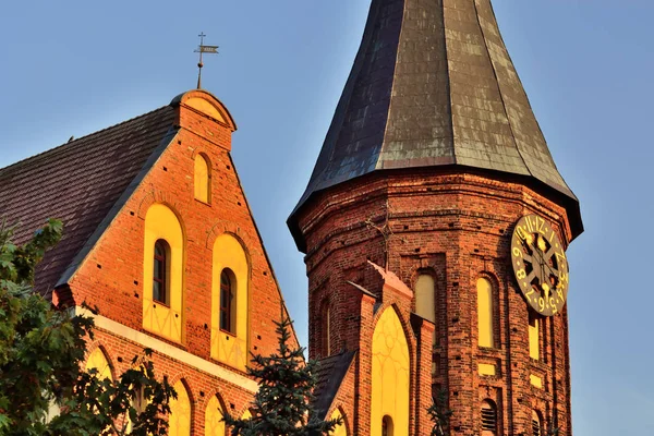 Koenigsberg Kathedraal Gotische Tempel Uit 14E Eeuw Symbool Van Kaliningrad — Stockfoto