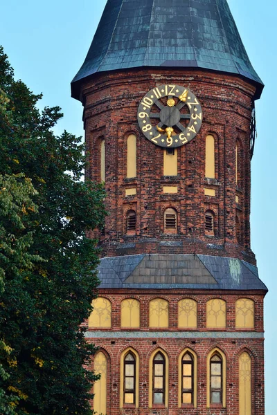 柯尼希斯贝格大教堂 14世纪的哥特式寺庙 加里宁格勒的象征 1946年 俄罗斯柯尼希斯贝格 旅游景点 建筑纪念碑 — 图库照片