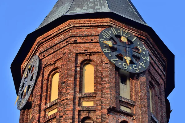 Cathédrale Koenigsberg Temple Gothique Xive Siècle Symbole Kaliningrad Jusqu 1946 — Photo