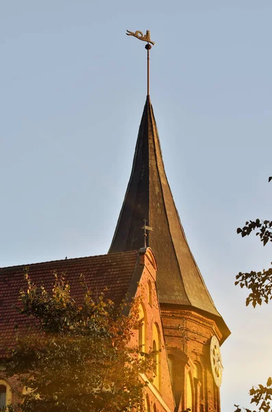 Catedral Koenigsberg Templo Gótico Del Siglo Xiv Símbolo Kaliningrado Hasta — Foto de Stock