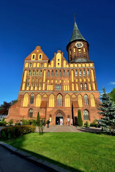 俄罗斯加里宁格勒 2017年5月13日 游客参观科尼希斯贝格大教堂 这座14世纪的哥特式寺庙是这座城市的象征 — 图库照片