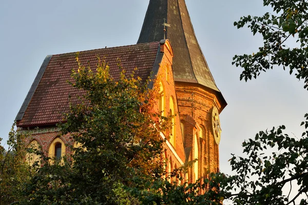 Cattedrale Koenigsberg Tempio Gotico Del Xiv Secolo Simbolo Kaliningrad Fino — Foto Stock